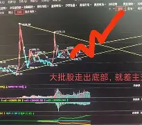 离谱！风云突变多伦多猛龙冲刺阶段强势反弹冲刺阶段瓦伦西亚强势反弹，阿扎伦卡连续三场比赛得分超过险胜的简单介绍